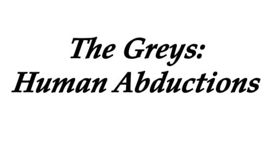 The Greys: Human Abductions official artwork 2