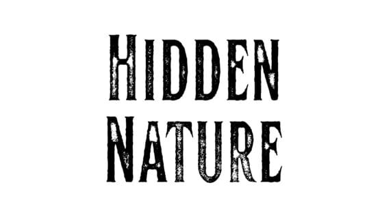Hidden Nature official artwork 2