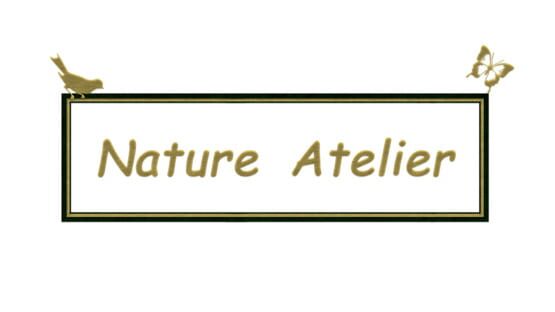 Nature Atelier official artwork 2