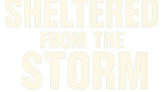 Sheltered From the Storm official artwork 2