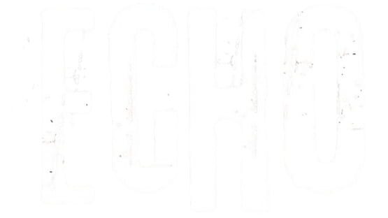 Echo screenshot 2
