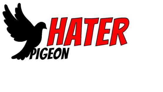 Pigeon Hater screenshot 2
