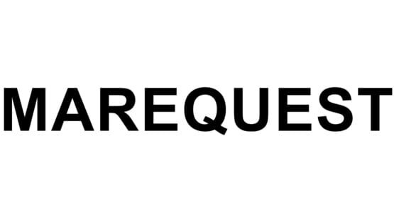 MareQuest official artwork 2