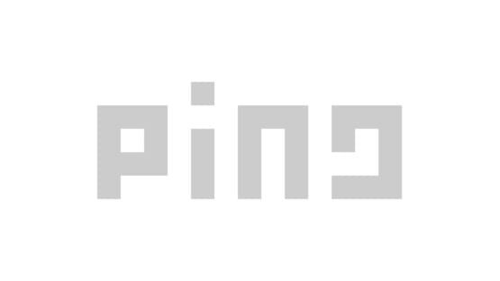 Ping! official artwork 2