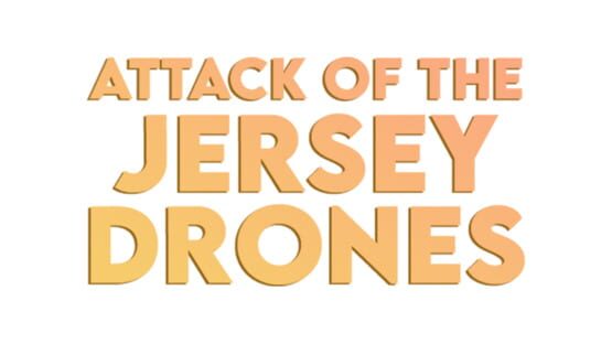 Attack of the Jersey Drones screenshot 4