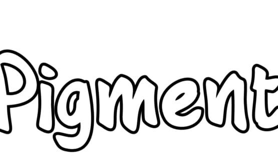 Pigment official artwork 2
