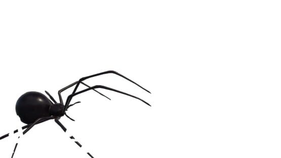 Arachnoid official artwork 2