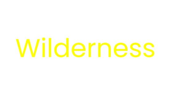 Wilderness official artwork 2