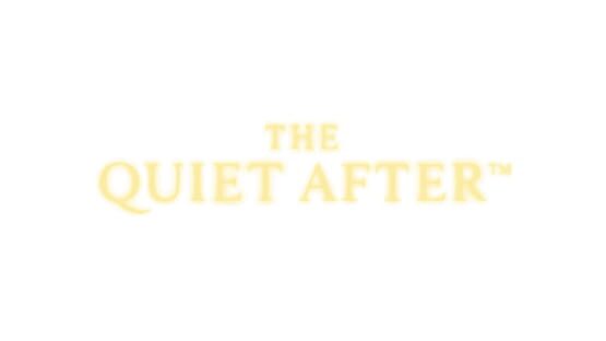 The Quiet After - Artwork 2