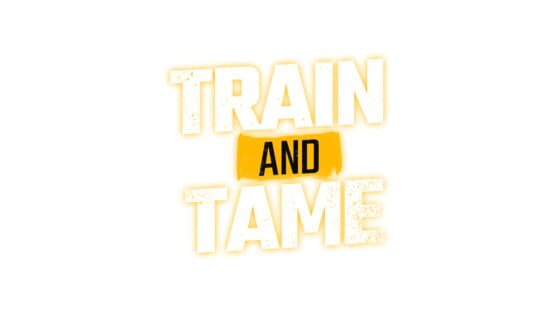Train and Tame screenshot 4