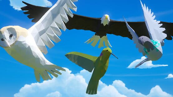 Bird Game 3 official artwork 1