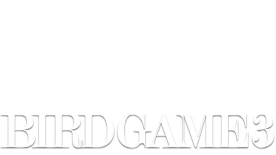 Bird Game 3 official artwork 2