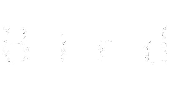 Bird official artwork 2