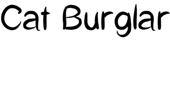 Cat Burglar official artwork 2