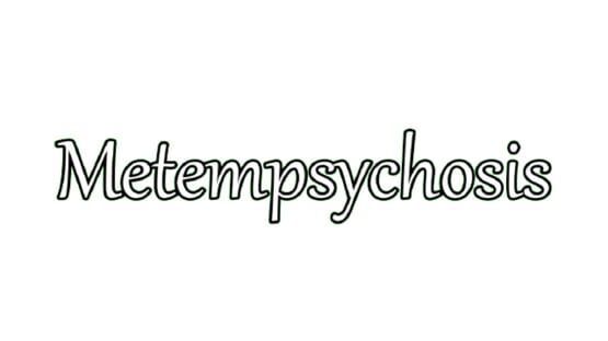 Metempsychosis screenshot 2