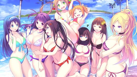 Valkyrie Drive: Bhikkhuni - Nyuu Nyuu DX Pack gameplay screenshot