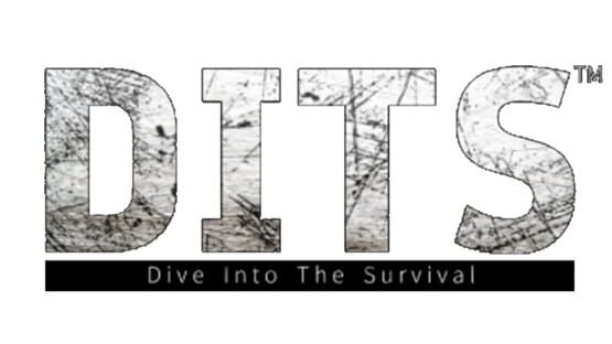 Dive Into The Survival official artwork 2