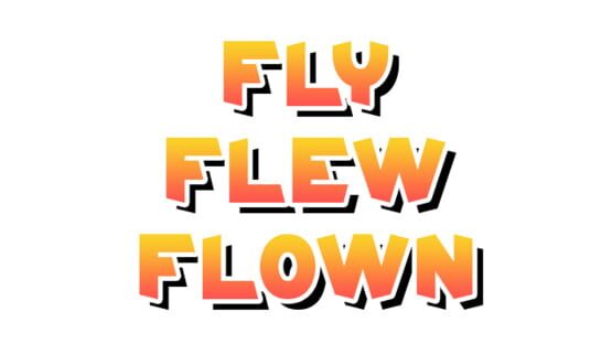 Fly Flew Flown backdrop