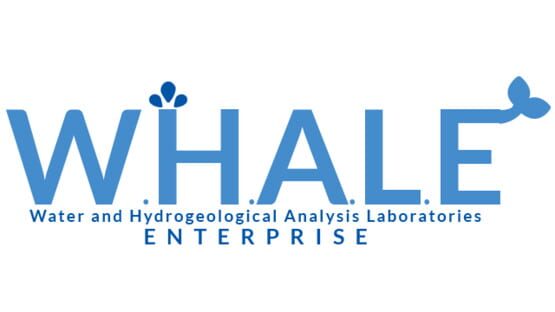 W.H.A.L.E. gameplay screenshot