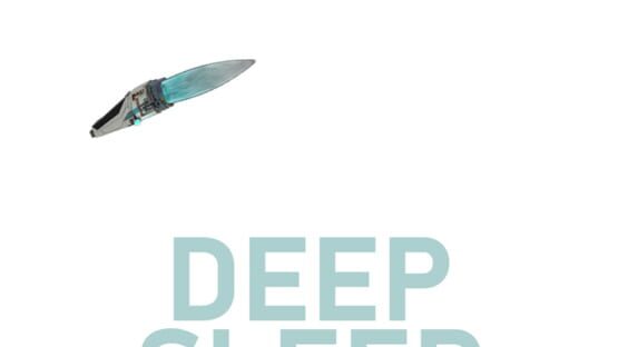 Deep Sleep official artwork 2