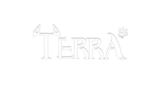 Terra official artwork 2