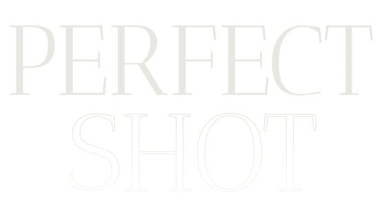 Perfect Shot gameplay screenshot