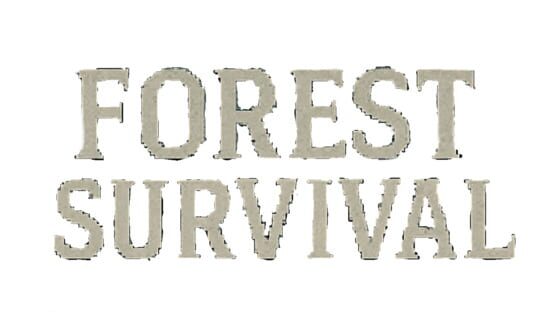 Forest Survival gameplay screenshot