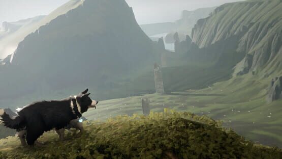 The Free Shepherd - Artwork 1