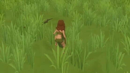Primitive Survival official artwork 1