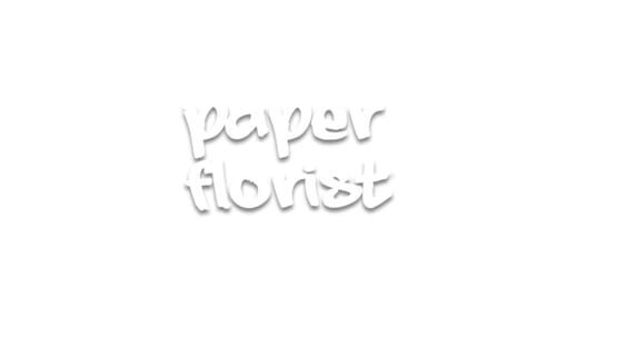 Paper Florist official artwork 2