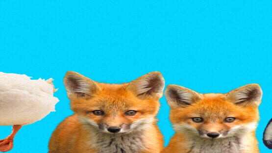 Photo Quiz - Animals screenshot 1