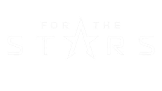 For The Stars official artwork 2
