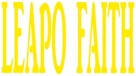 LEAPO FAITH screenshot 2