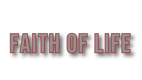 Faith of Life: Survive Edition official artwork 2