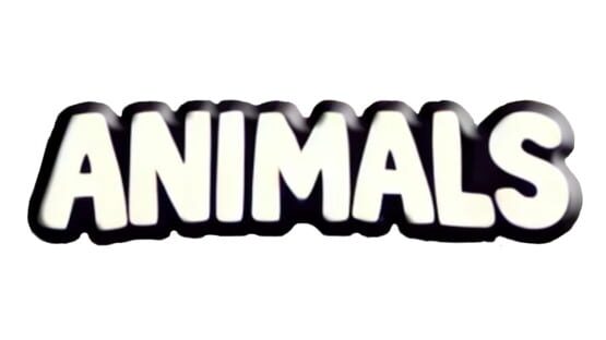 Animals official artwork 2