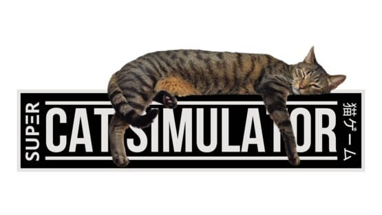 Super Cat Simulator gameplay screenshot