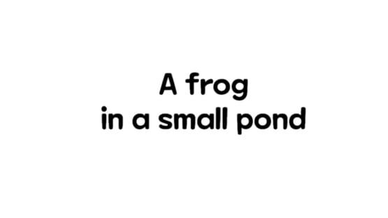 A Frog in a Small Pond official artwork 2