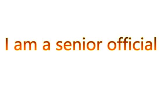 I am a Senior Official official artwork 2