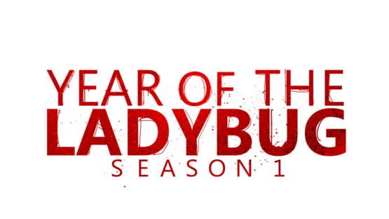 Year of the Ladybug: Season 1 official artwork 2