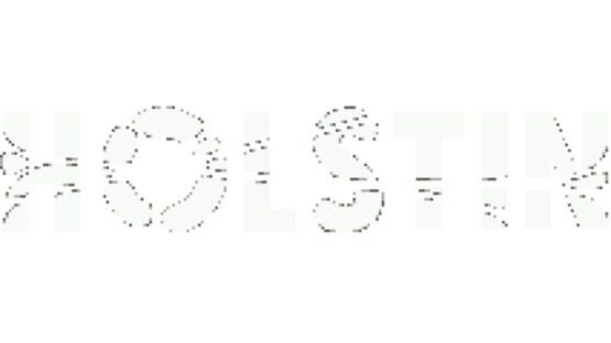 Holstin - Artwork 3