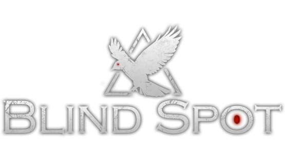 Blind Spot screenshot 2