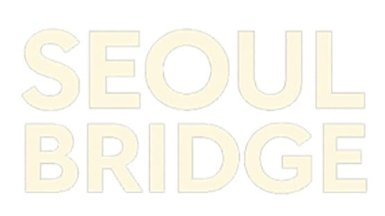 Seoul Bridge official artwork 2