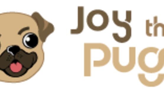 Joy the Pug screenshot 3
