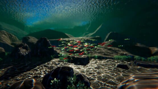 Fish Swarm: Within Inches official artwork 1