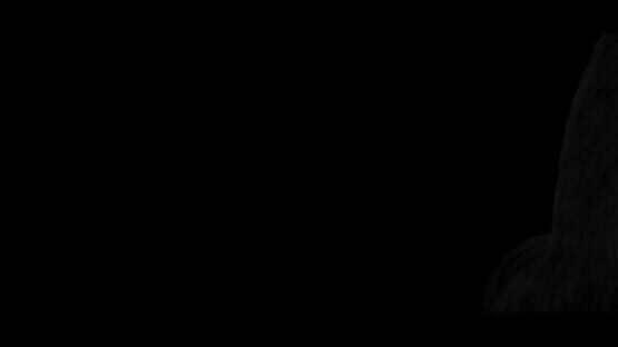 The Rabbit's Shadow gameplay screenshot