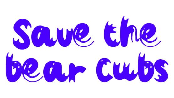 Save The Bear Cubs artwork 2