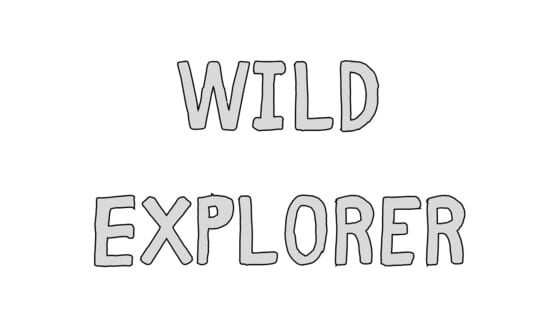 Wild Explorer official artwork 2