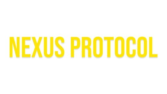 Nexus Protocol official artwork 2