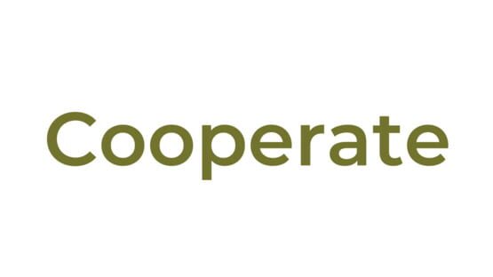 Cooperate official artwork 2