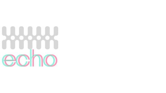 A Permanent Echo official artwork 2